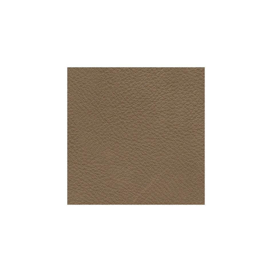 brown swatch  