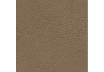 brown swatch  