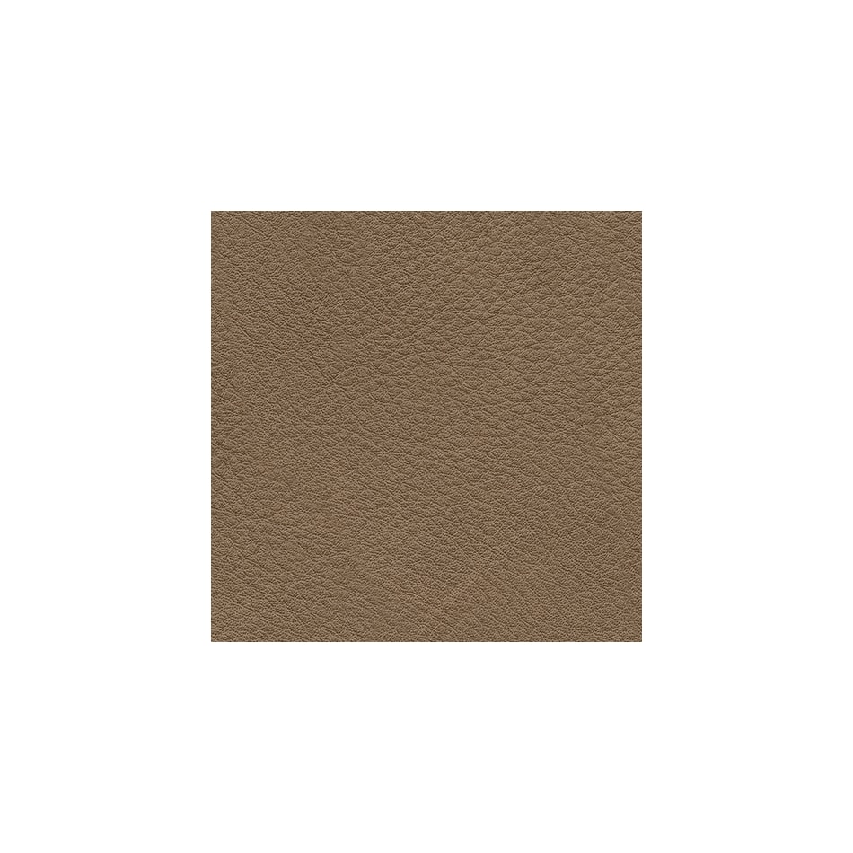 brown swatch  