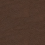 brown swatch  