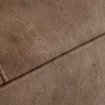 brown swatch  