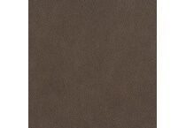 brown swatch  