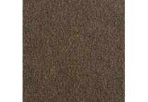 brown swatch  