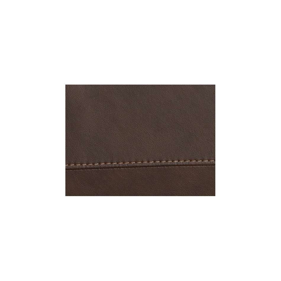 burnt umber swatch  
