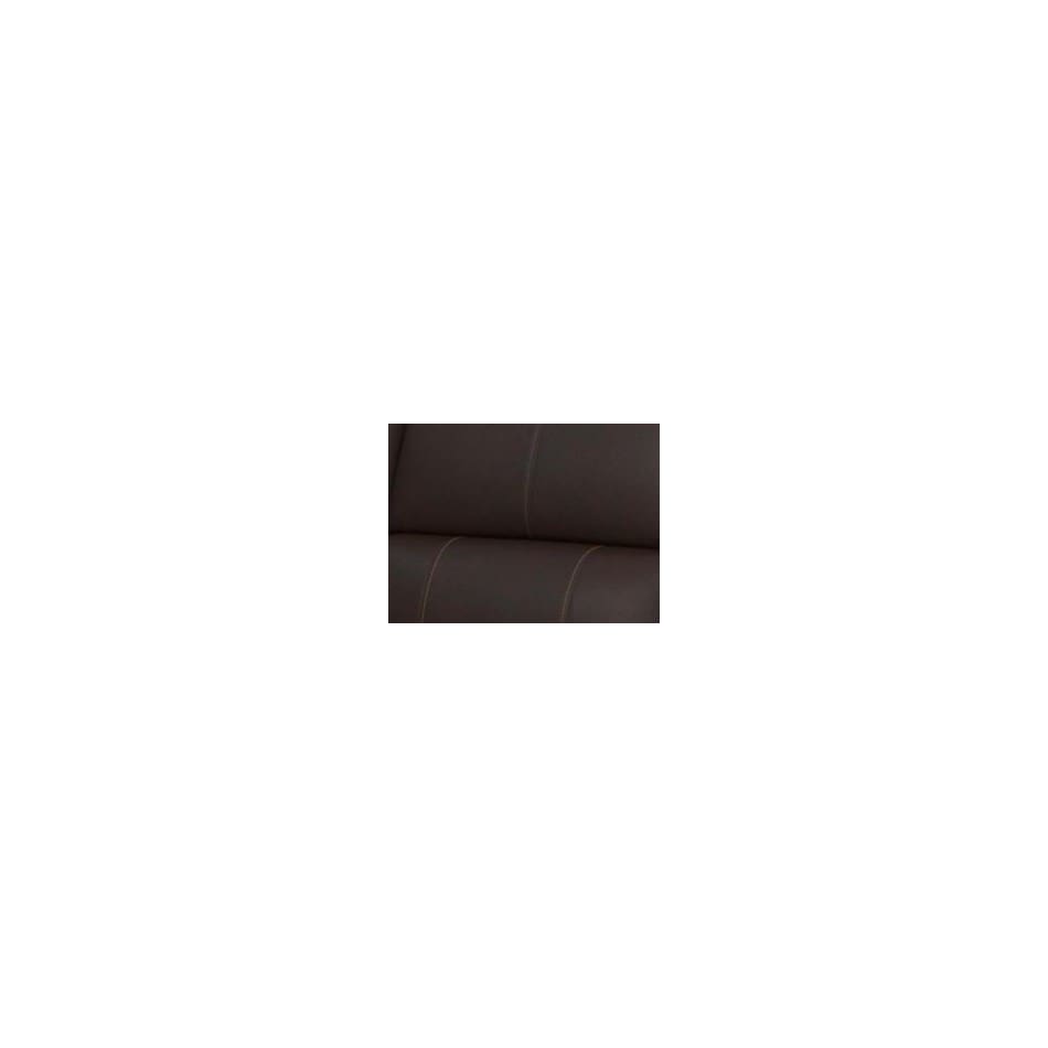 burnt umber swatch  