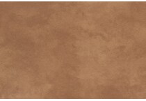 camel swatch  