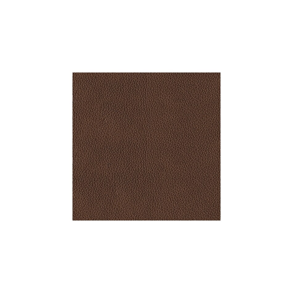 canyon swatch  