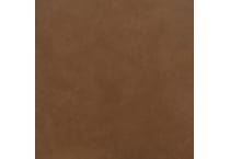 caramel swatch  