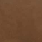 caramel swatch  