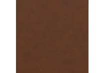 caramel swatch  