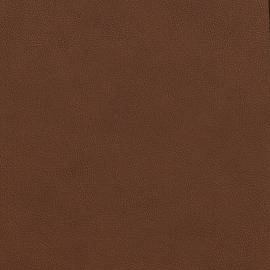caramel swatch  