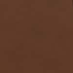 caramel swatch  