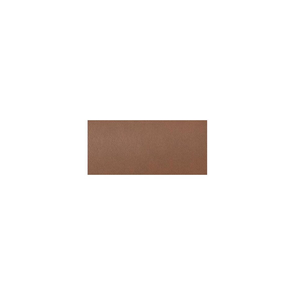caramel swatch  