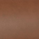 caramel swatch  