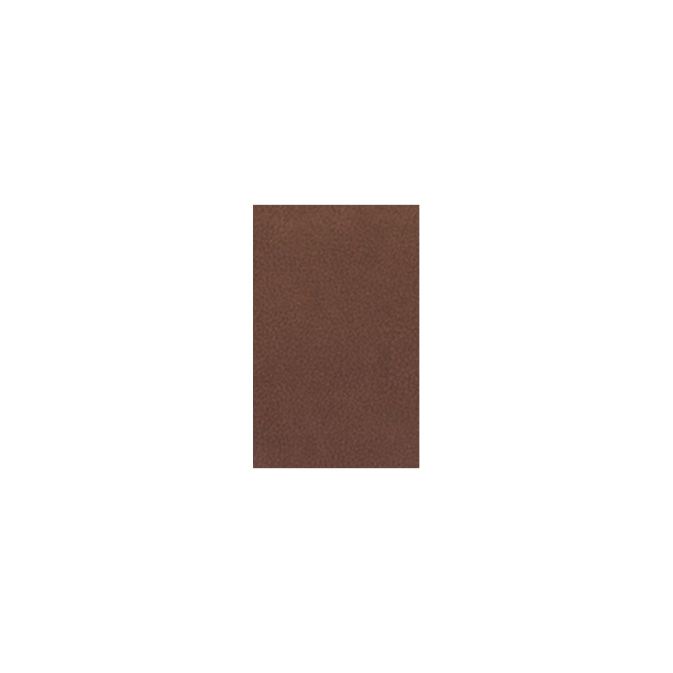 caramel swatch  