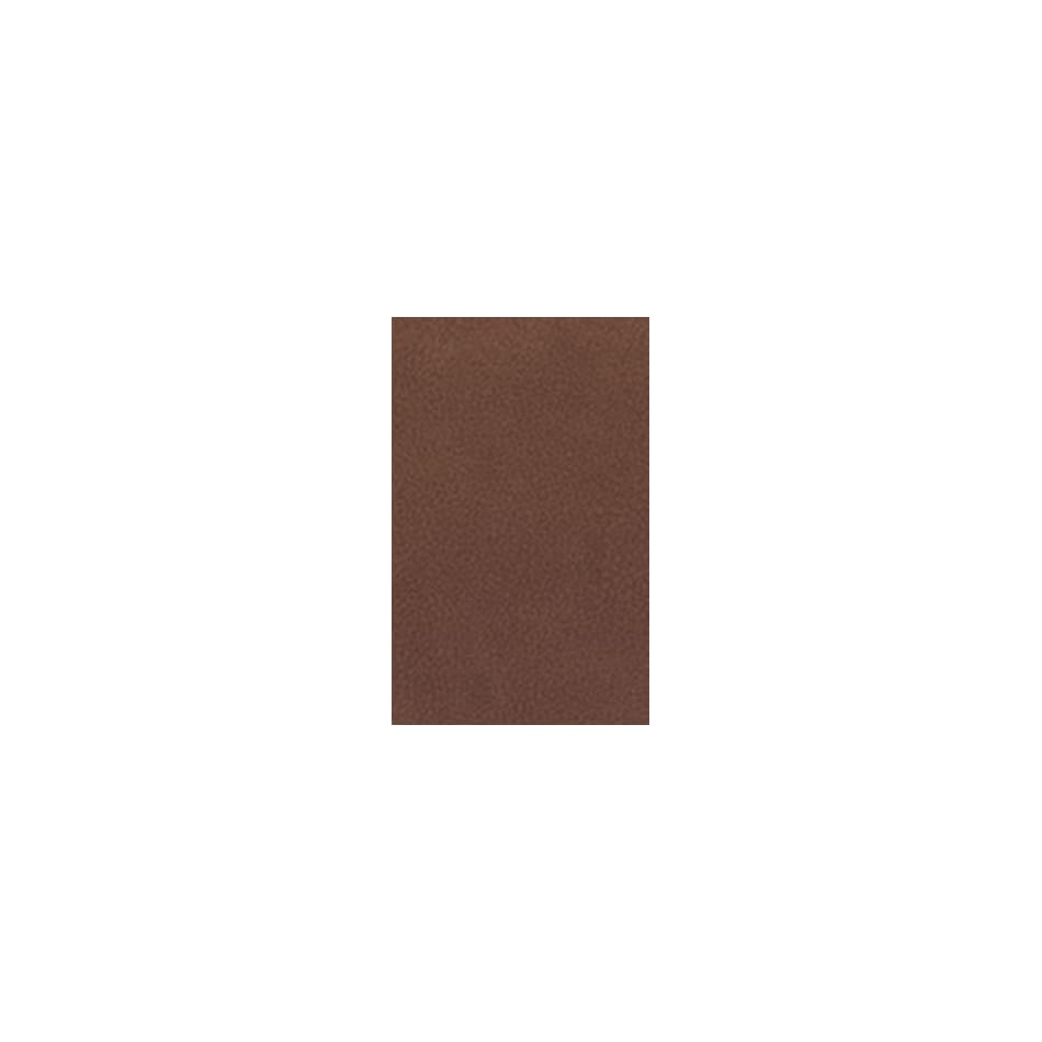 caramel swatch  