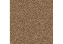 caramel swatch  