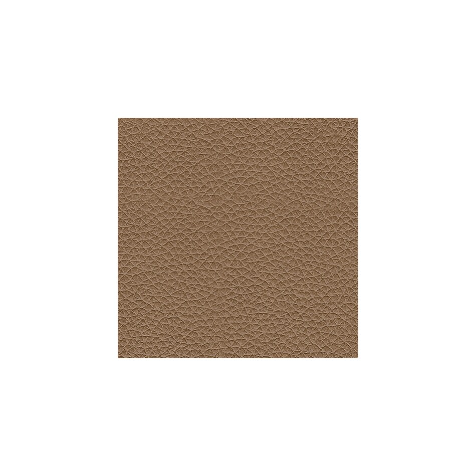 caramel swatch  