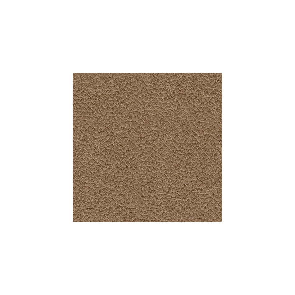 caramel swatch  