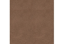 caramel swatch  