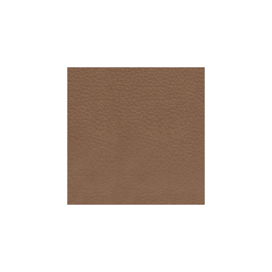 caramel swatch  