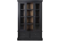 chadworth black brown curio   