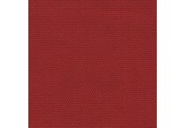 cherry swatch  