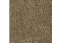 chocolate swatch  