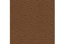 chocolate swatch  