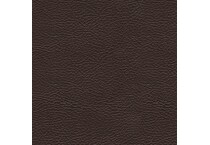 chocolate swatch  