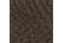 chocolate swatch  