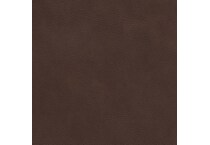 chocolate swatch  