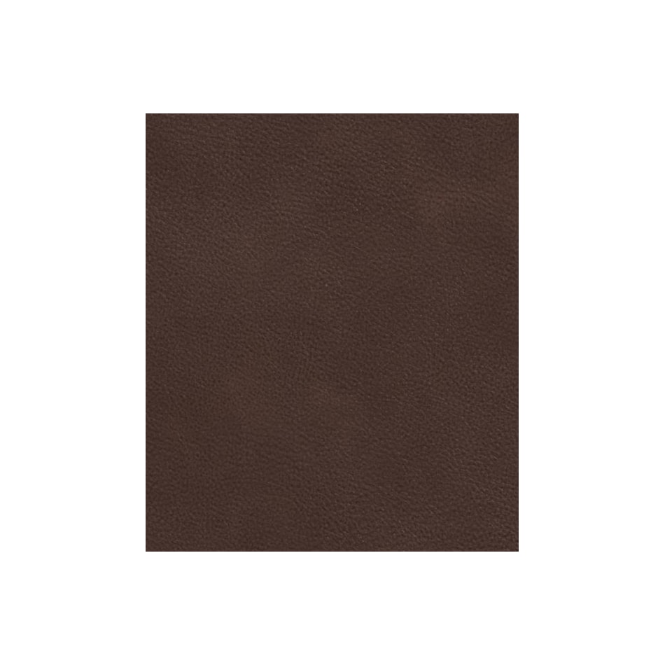 chocolate swatch  