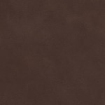 chocolate swatch  