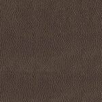 chocolate swatch  