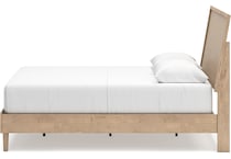 cielden tan package   