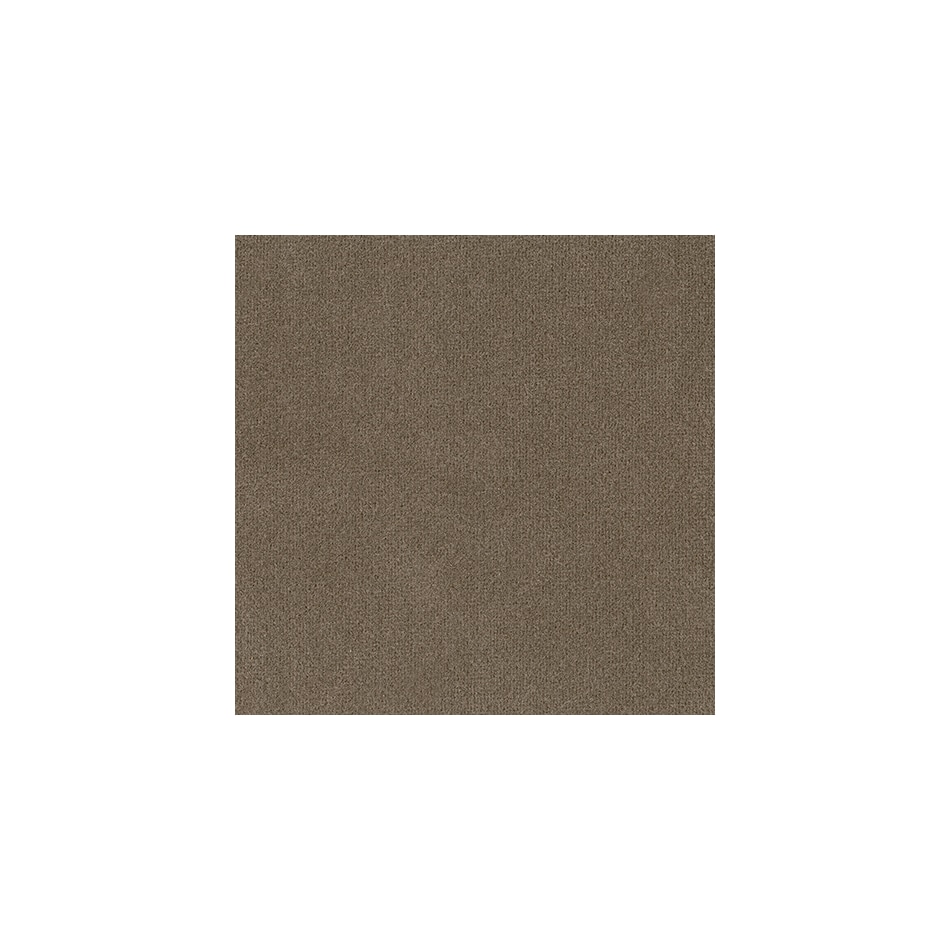 cocoa swatch  