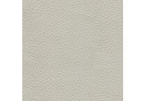 coconut swatch  