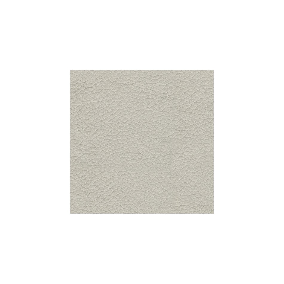 coconut swatch  