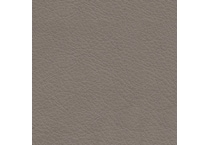 coin swatch  