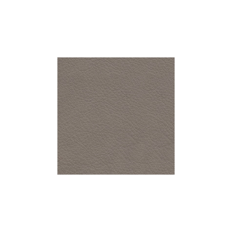 coin swatch  