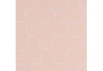 coral swatch  