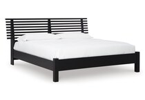 danziar black package   