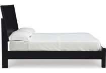 danziar black package   