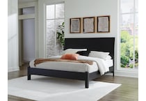 danziar black package   