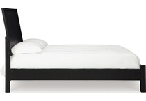 danziar black package   