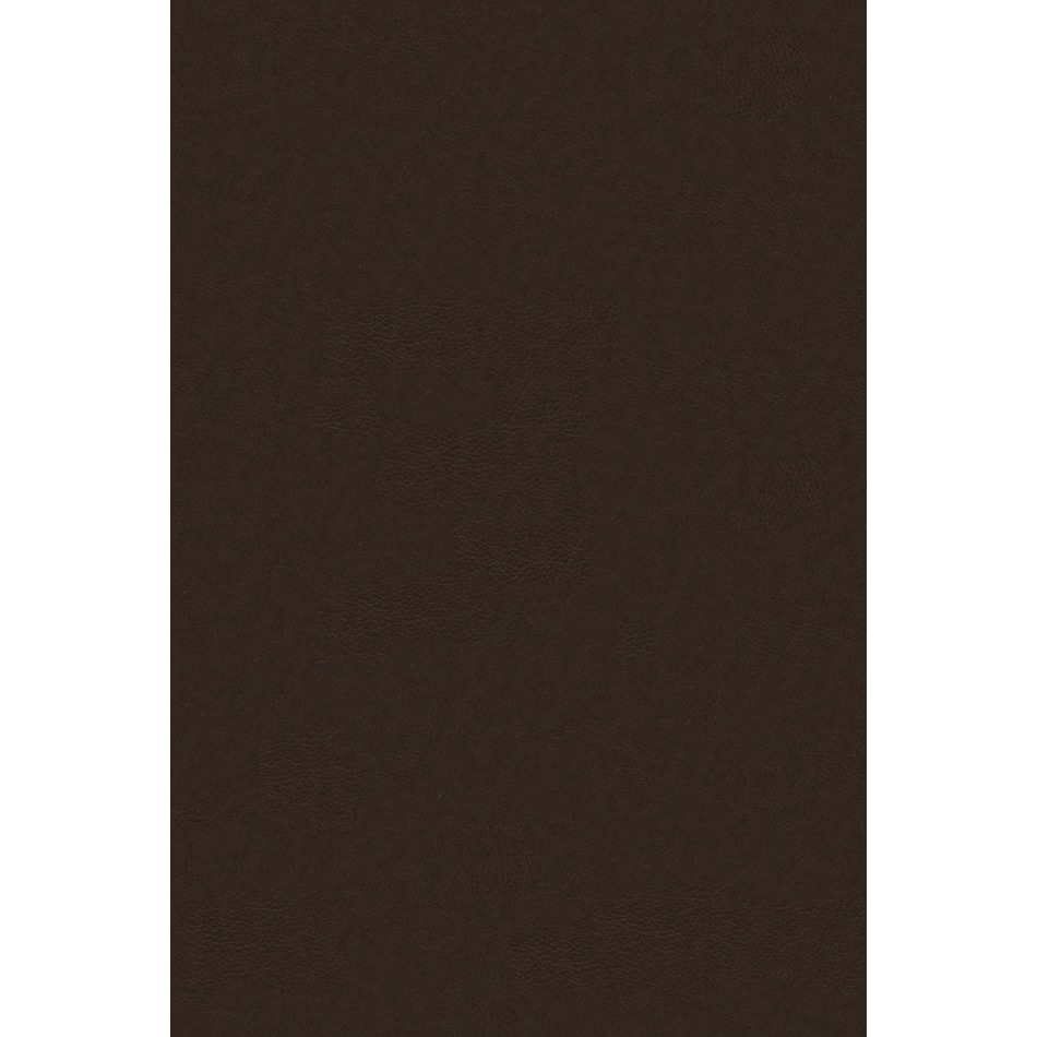 dark brown swatch  