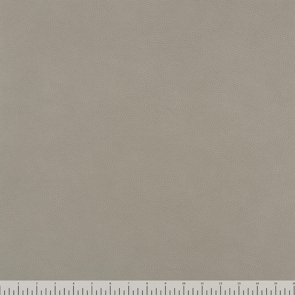dove grey swatch  