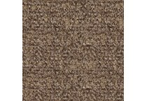 earth swatch  