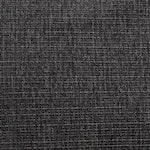 ebony swatch  